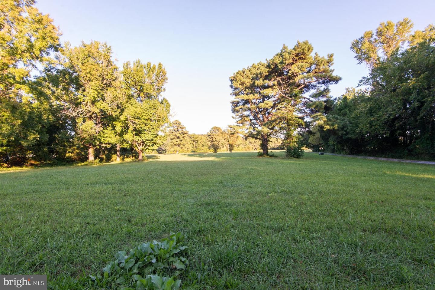 11482 Kittys Corner Road photo 27