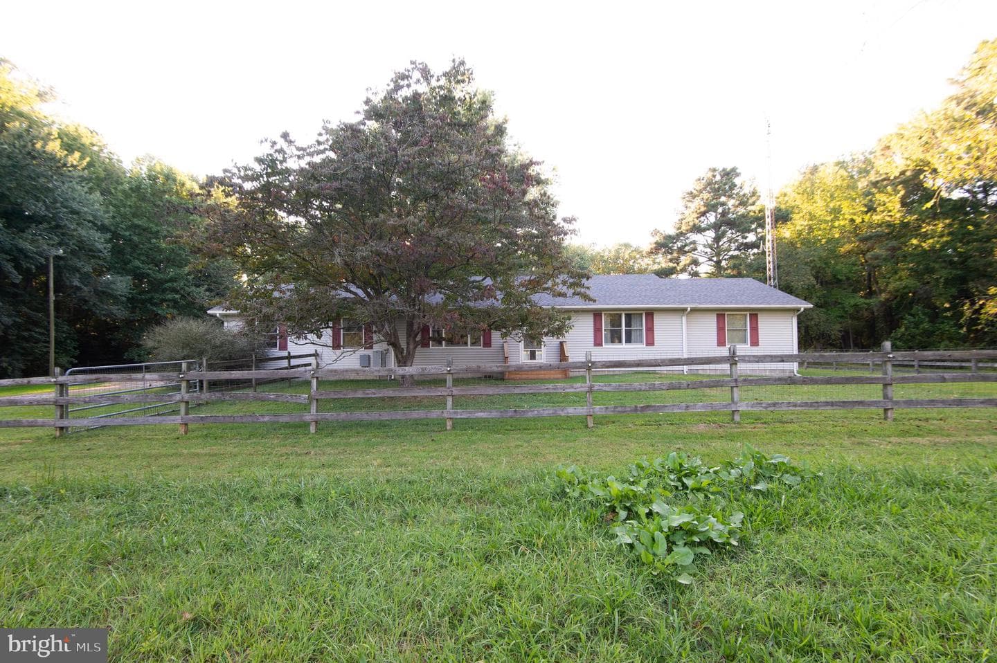 11482 Kittys Corner Road photo 4