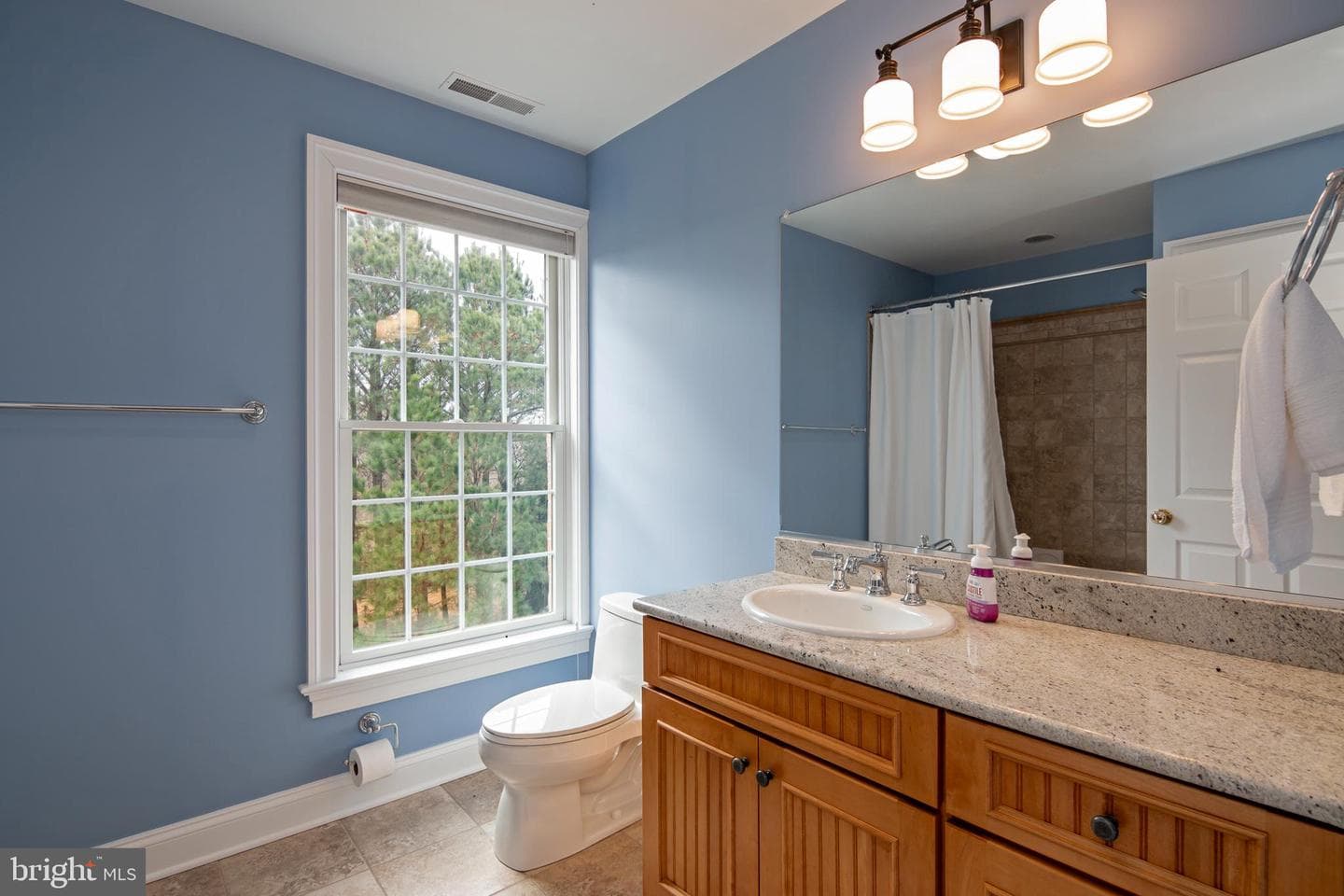 8781 Tilghman Island Road photo 49