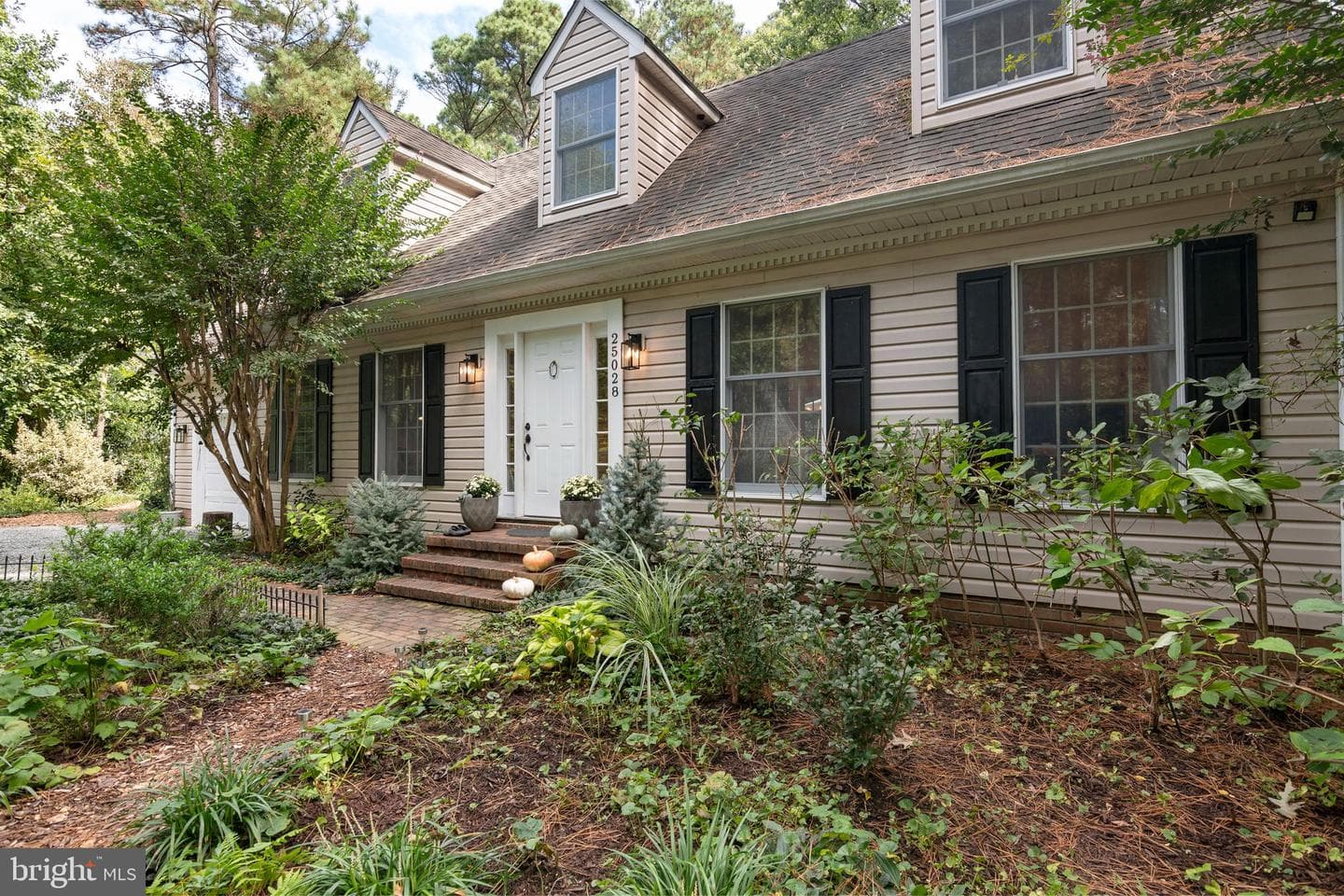 25028 Maplewood Drive photo 2