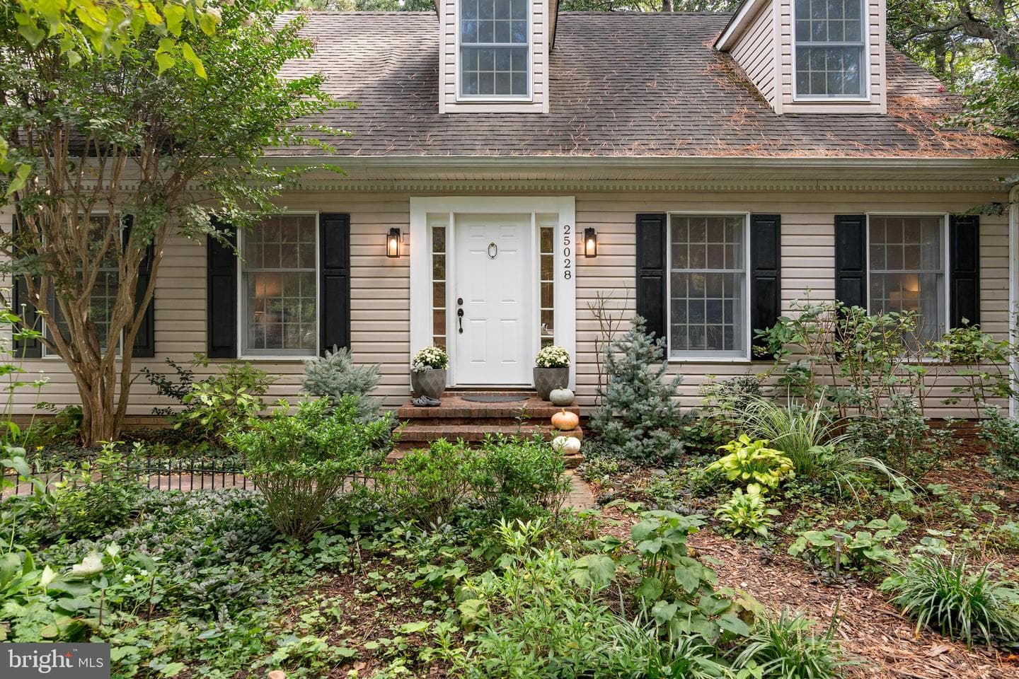 25028 Maplewood Drive photo 3