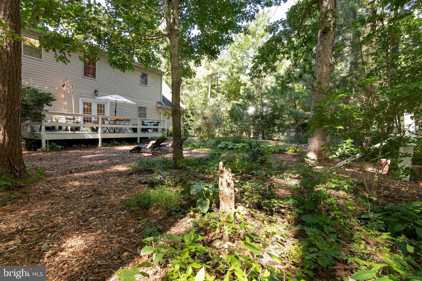 25028 Maplewood Drive photo 36