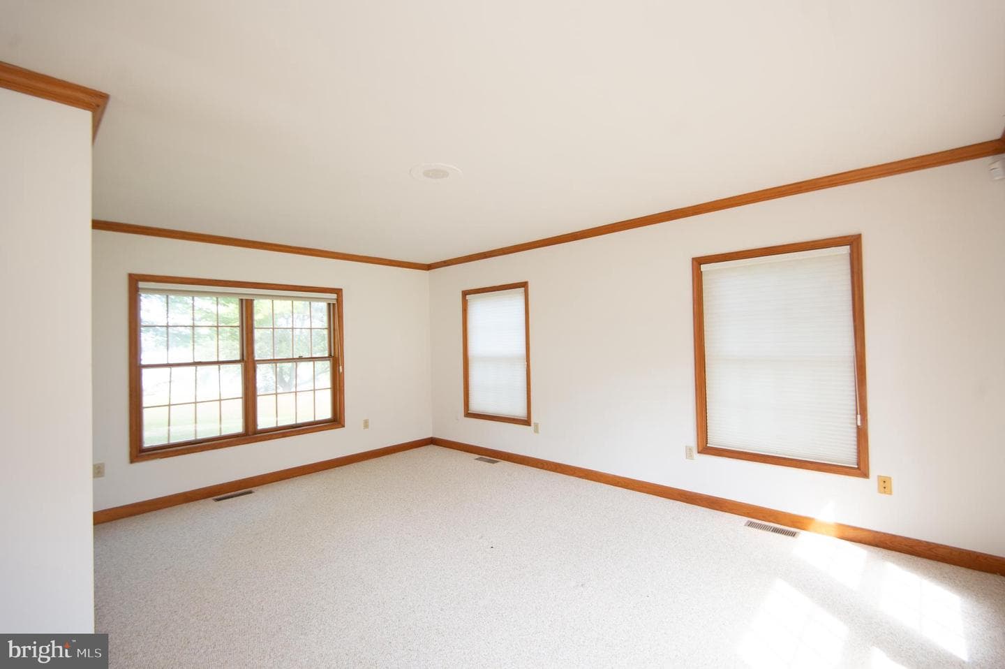 5499 Anderby Hall Road photo 48