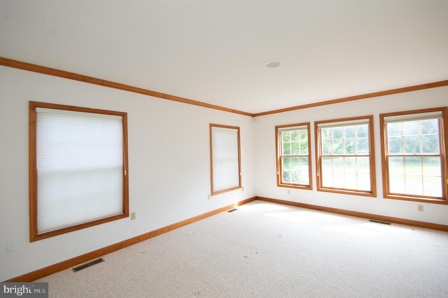 5499 Anderby Hall Road photo 49