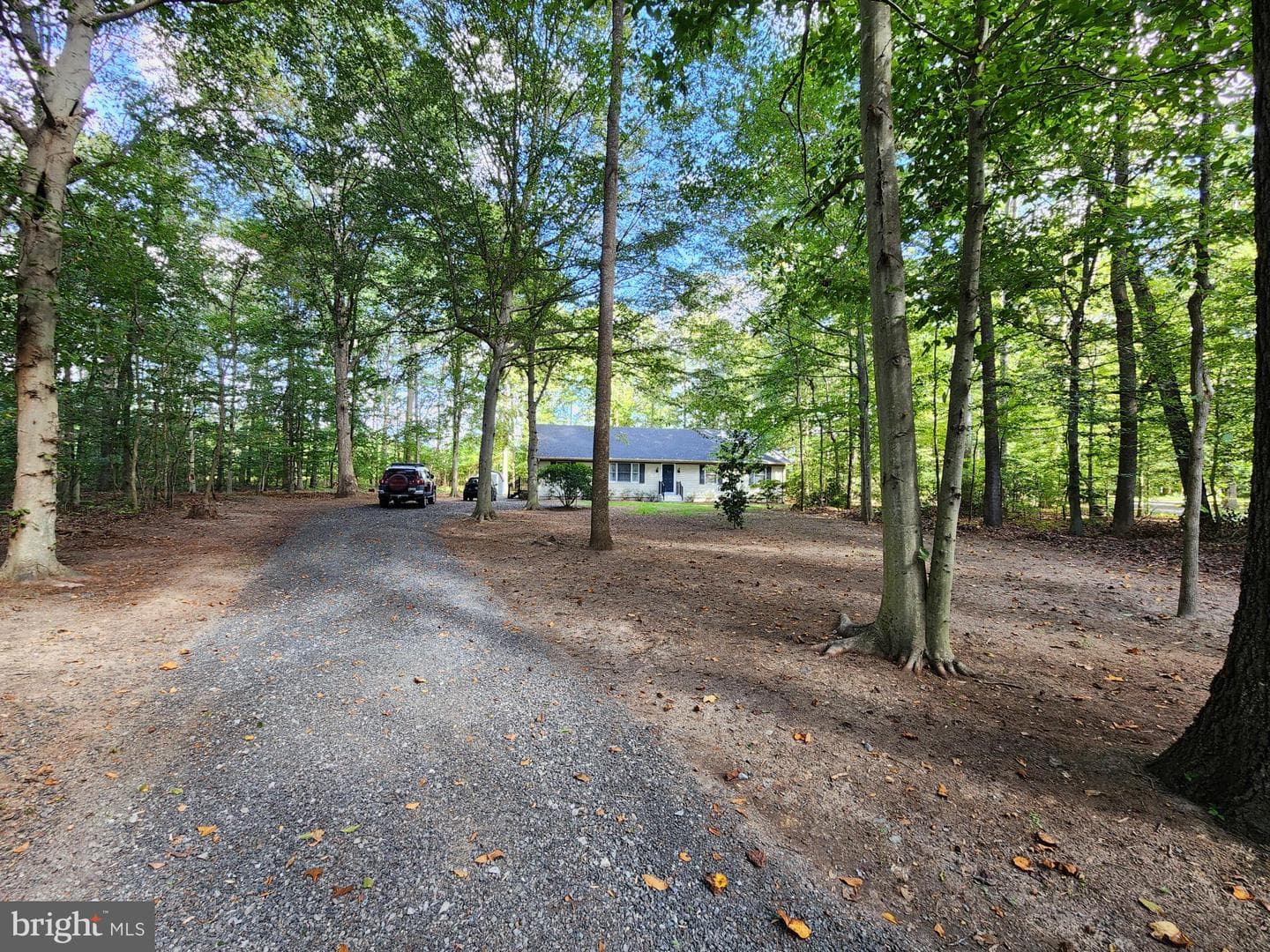 11633 Malvern Lane photo 6