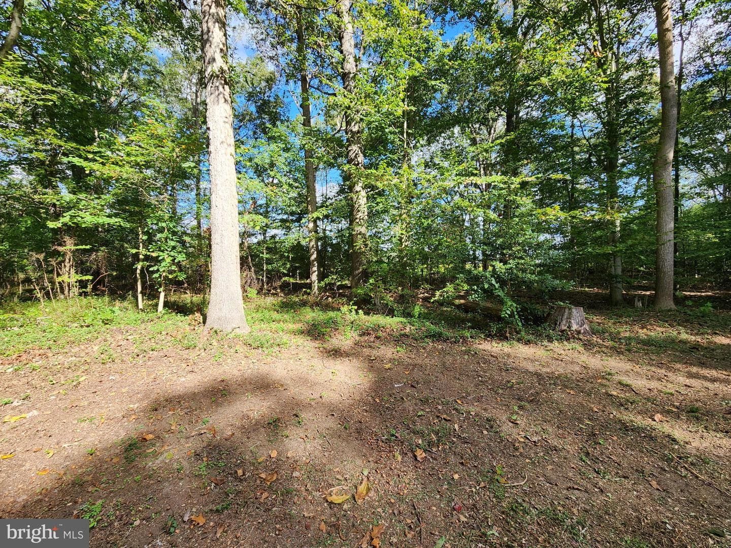 11633 Malvern Lane photo 7