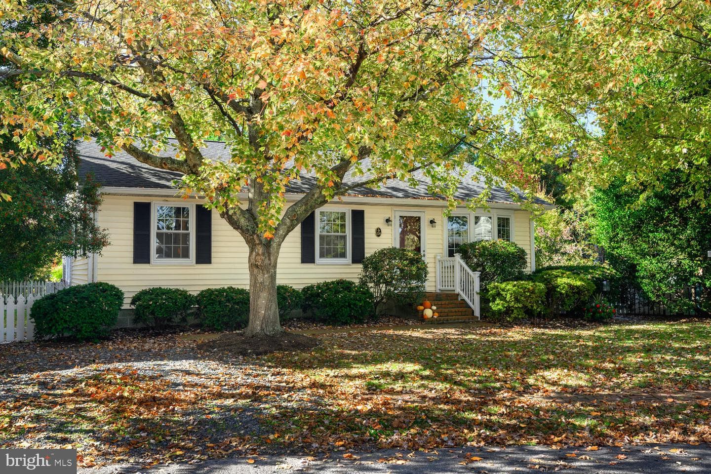 224 South Street photo 17