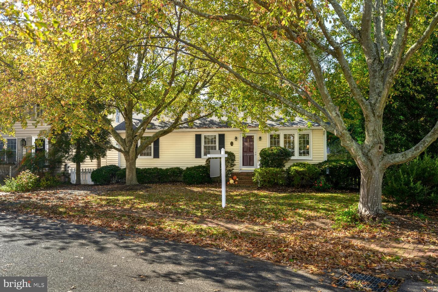 224 South Street photo 18