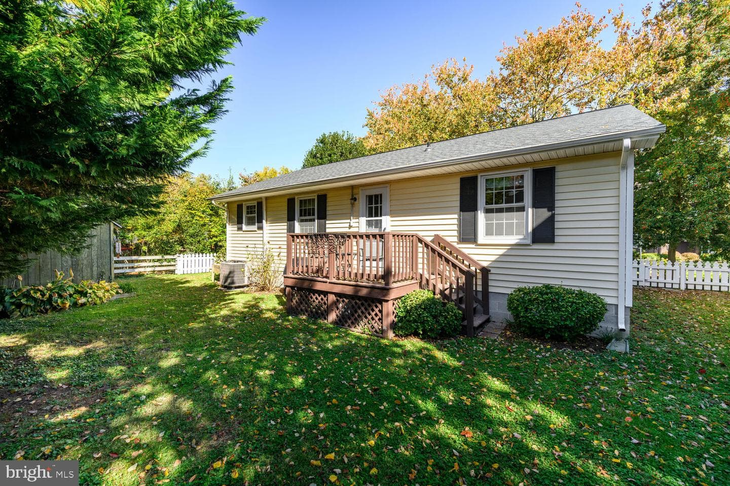 224 South Street photo 19