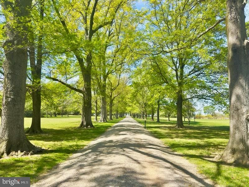 8612 Tilghman Island Road photo 3