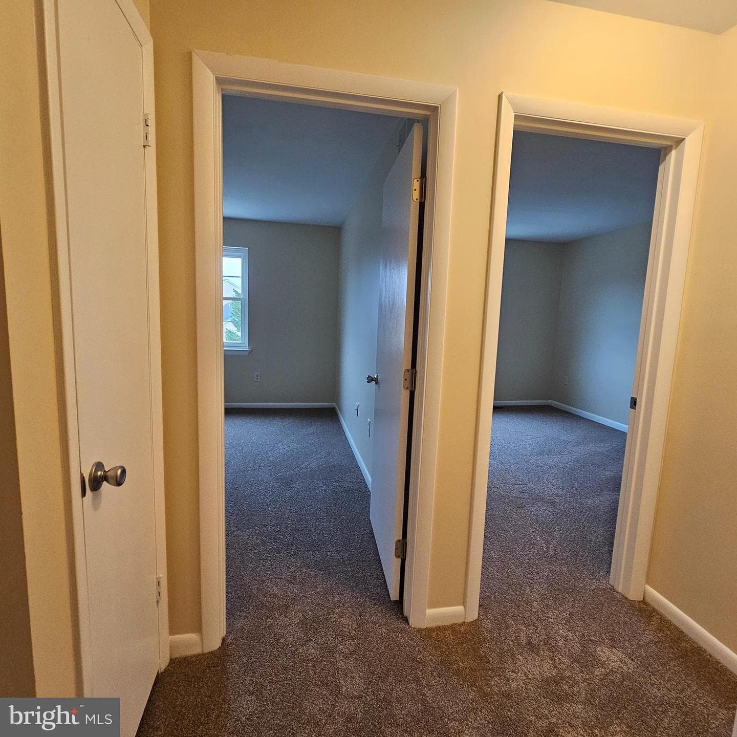 29595 Dutchmans Lane #602 photo 21