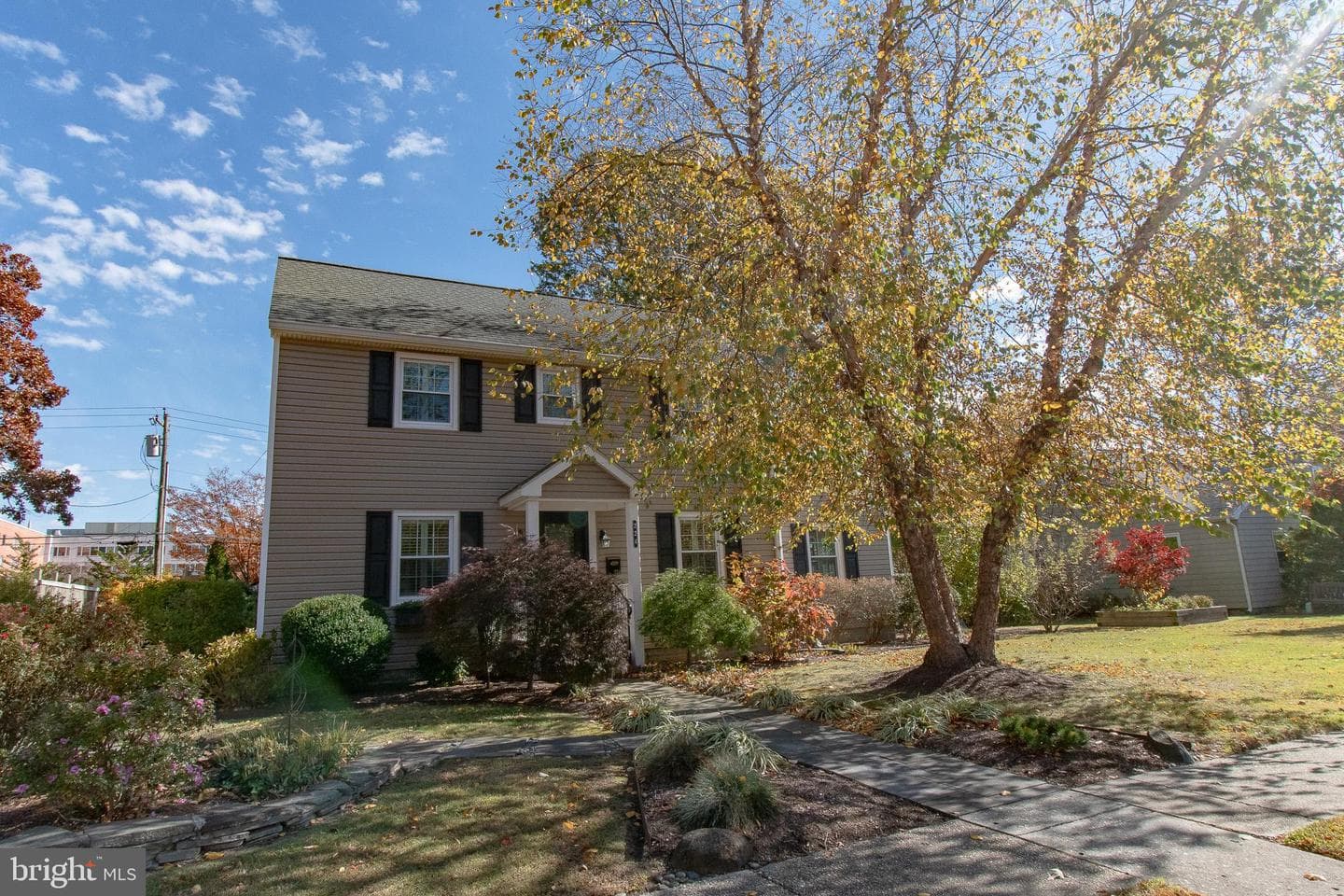 224 Wye Avenue photo 9