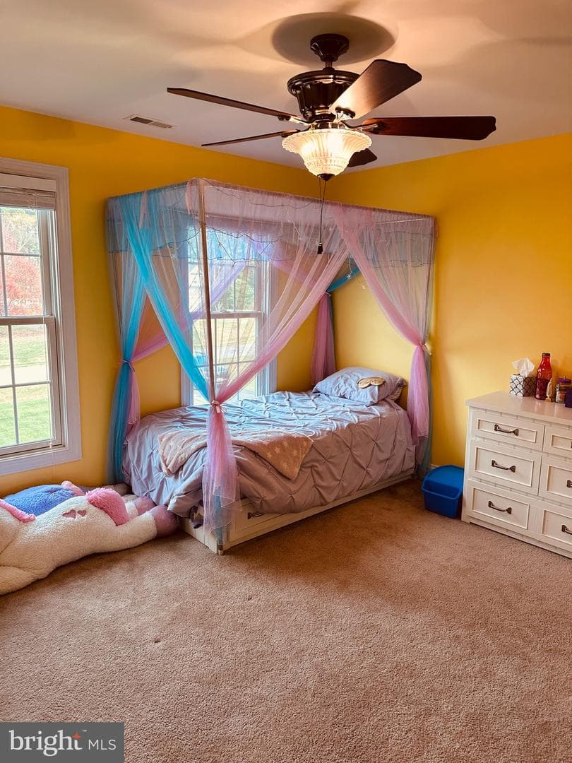 13473 Blackberry Lane photo 35