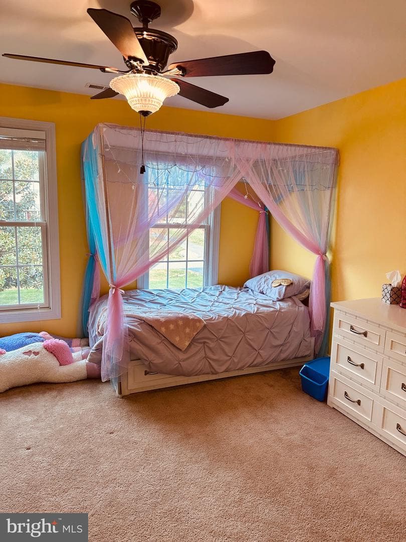 13473 Blackberry Lane photo 36