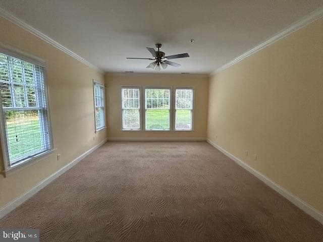28959 Jasper Lane photo 26