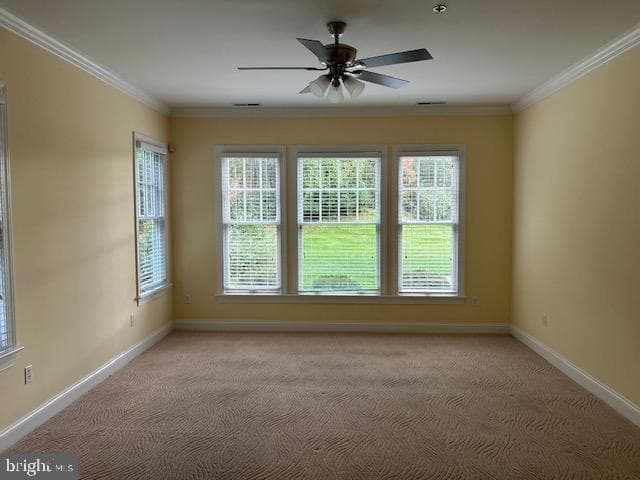 28959 Jasper Lane photo 28