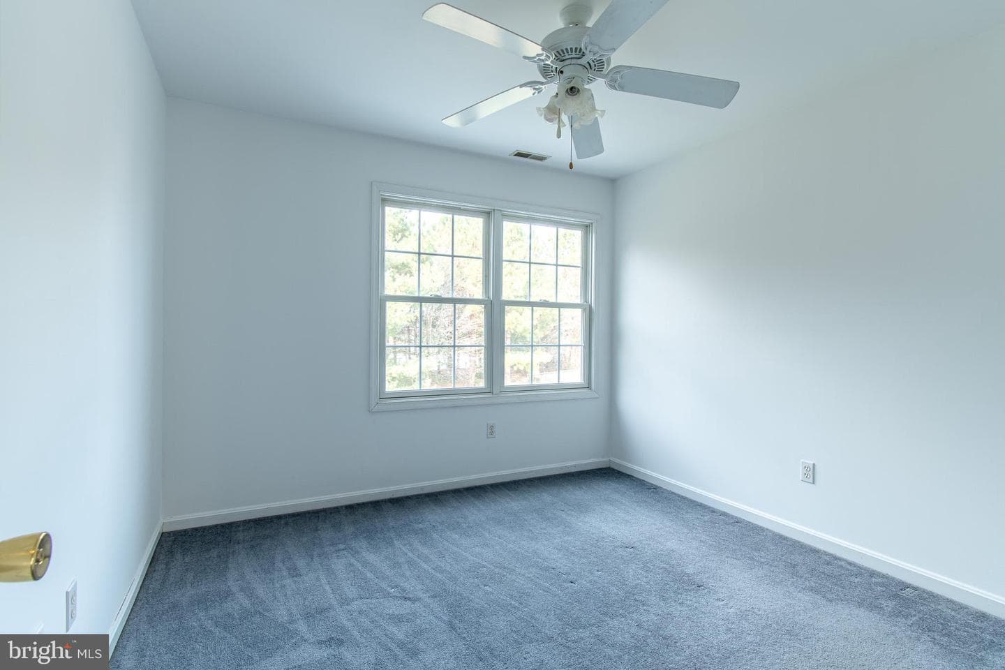 8800 Roundhouse Circle photo 29