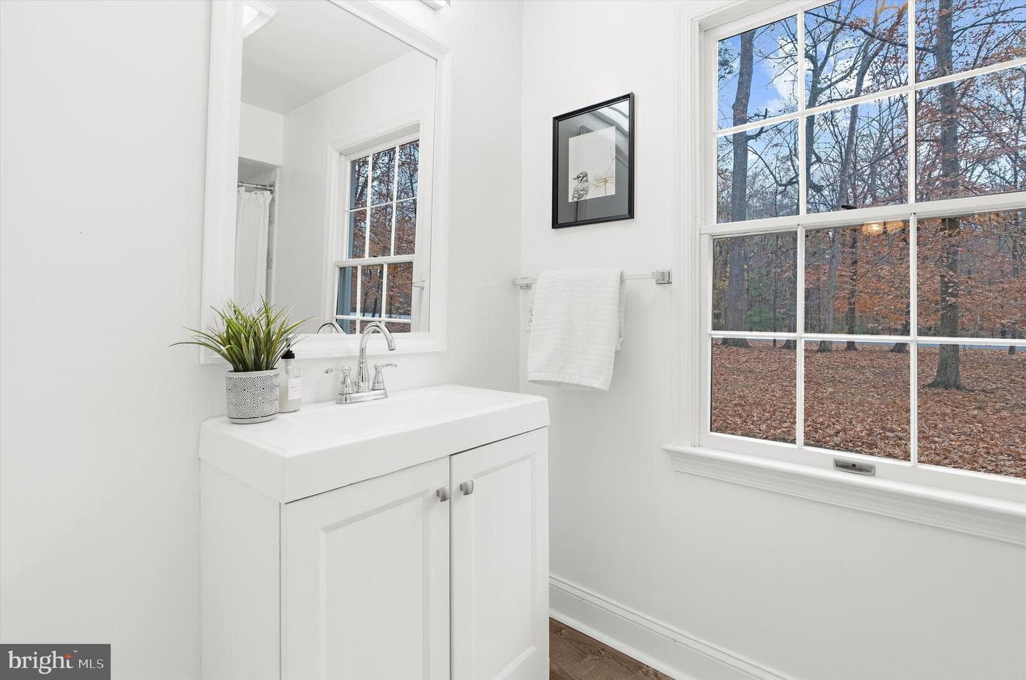 7184 Oxford Road photo 24