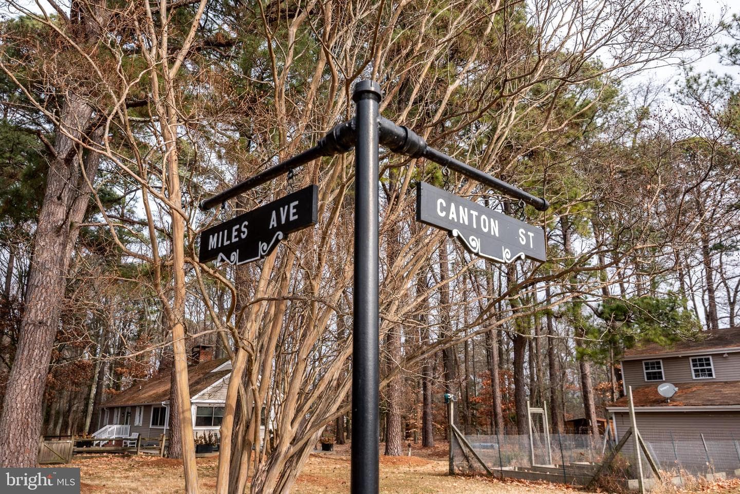 108 Miles Avenue photo 8