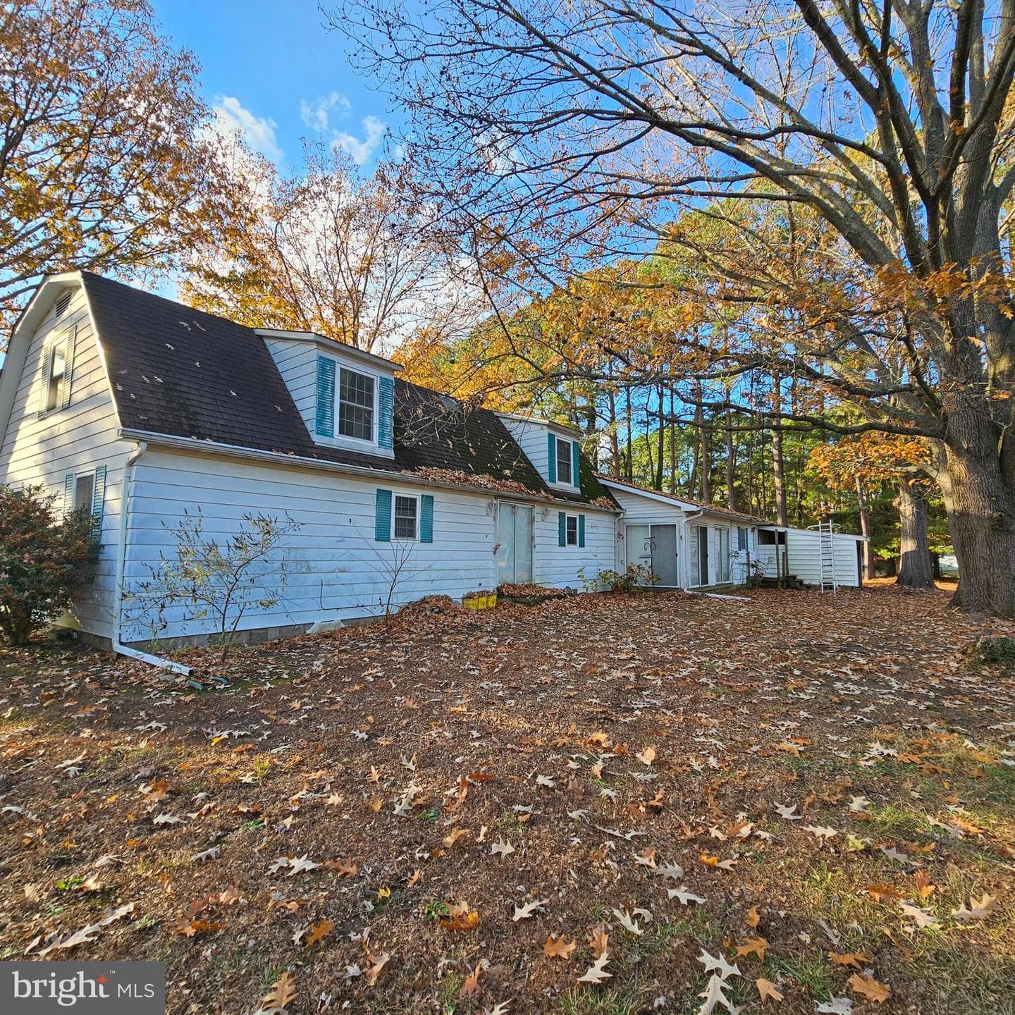 8210 Ingleton Circle photo 11