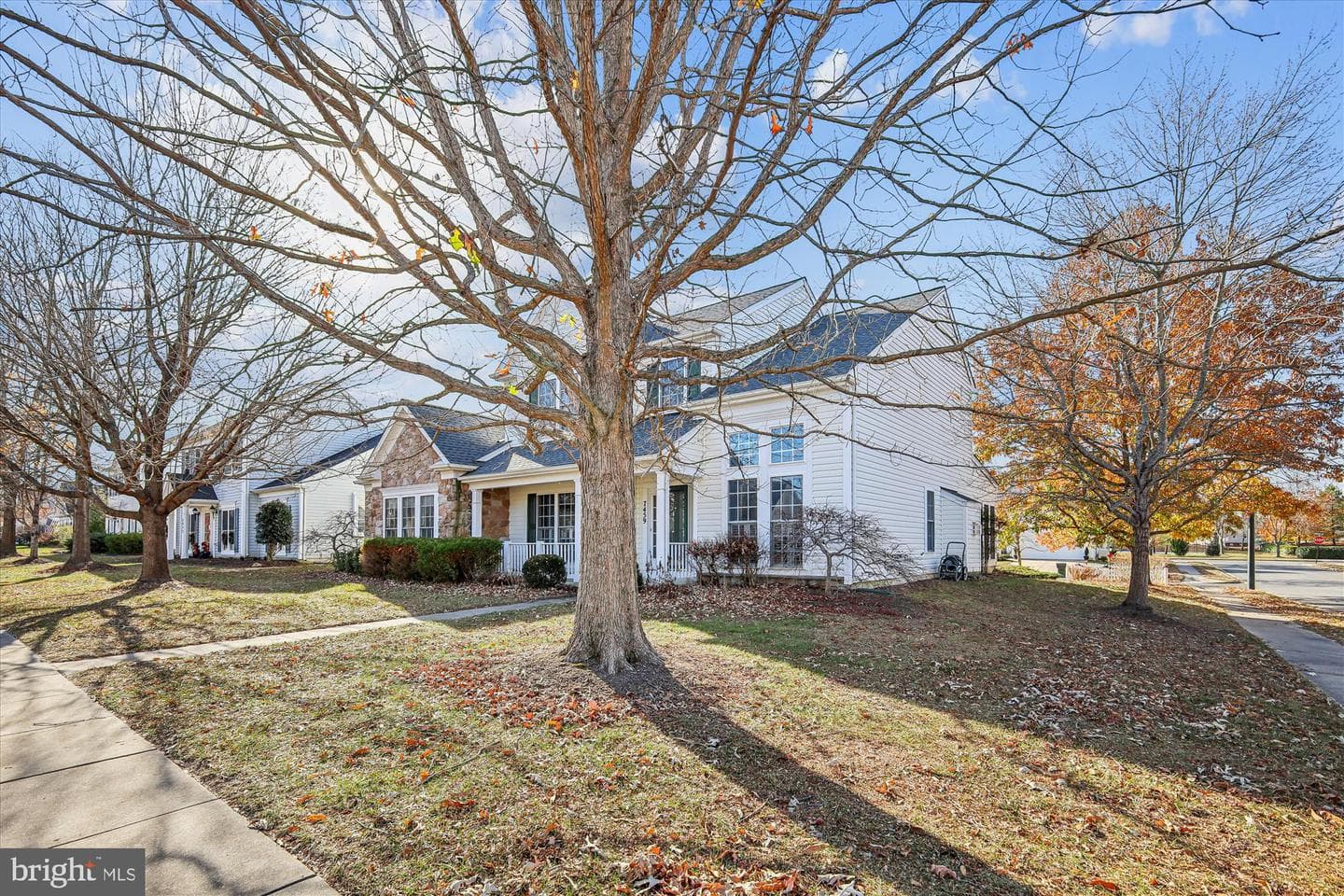 7459 Timothys Way photo 2