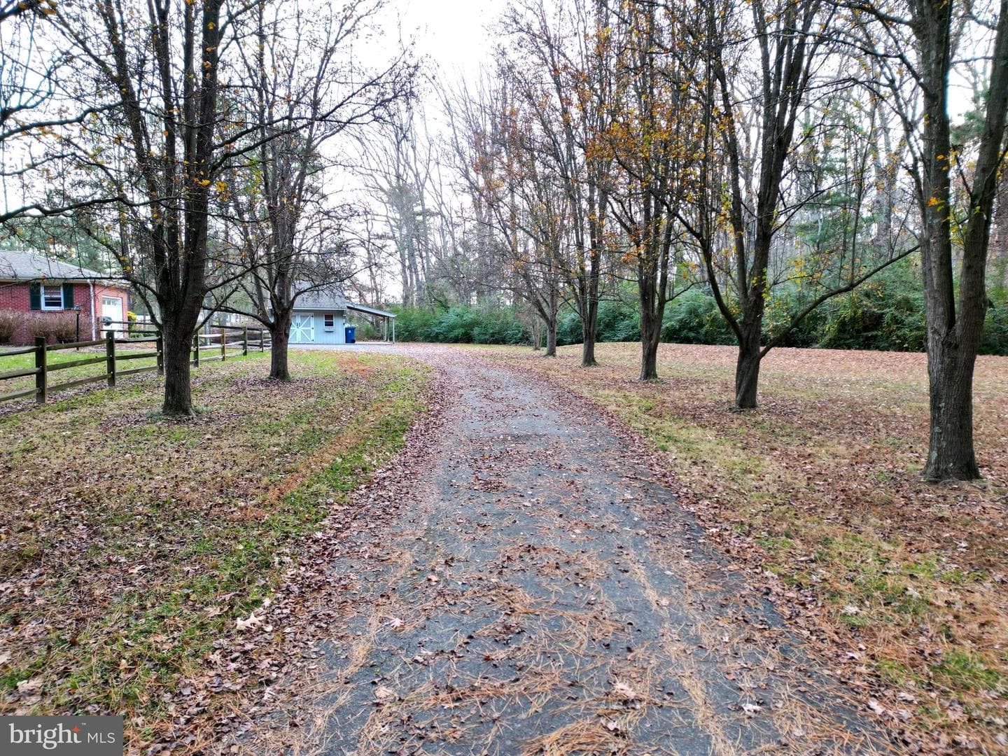7361 Solitude Road photo 22