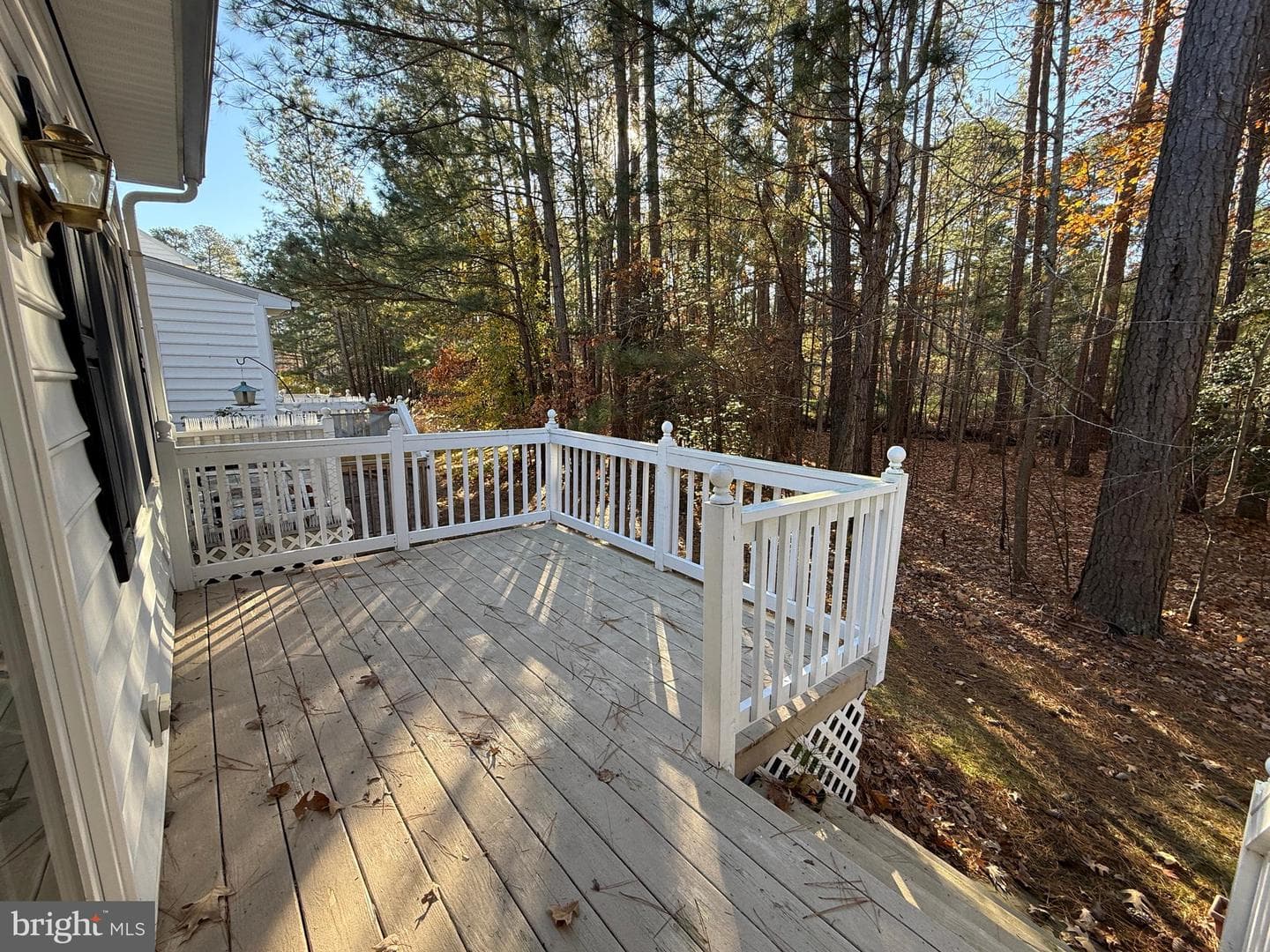 28483 Pinehurst Circle photo 10