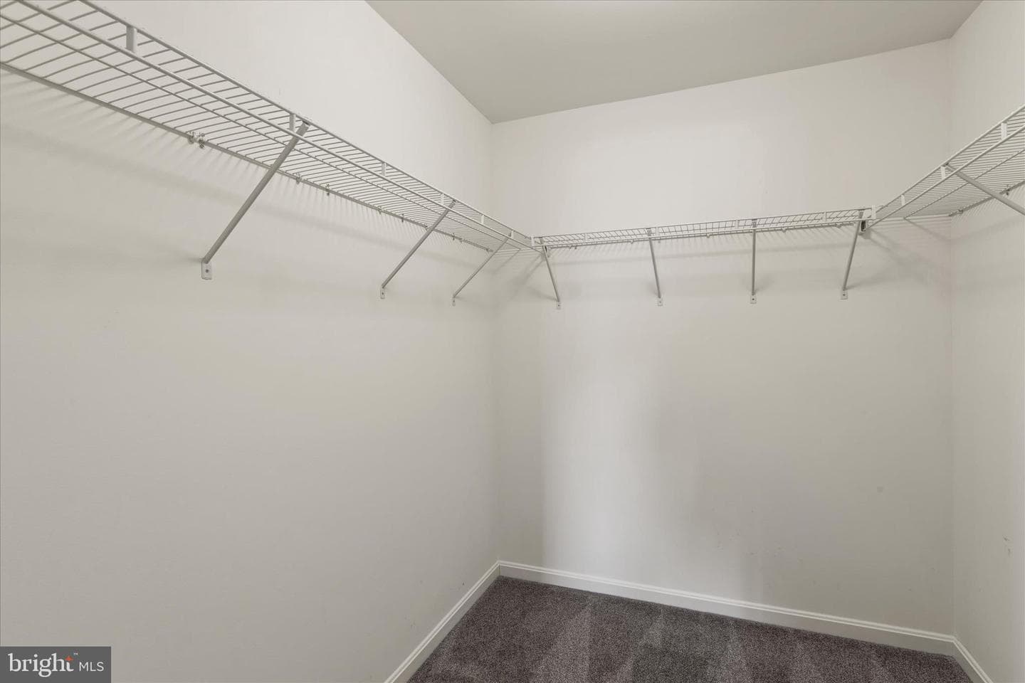 5559 Trafalgar Circle photo 52