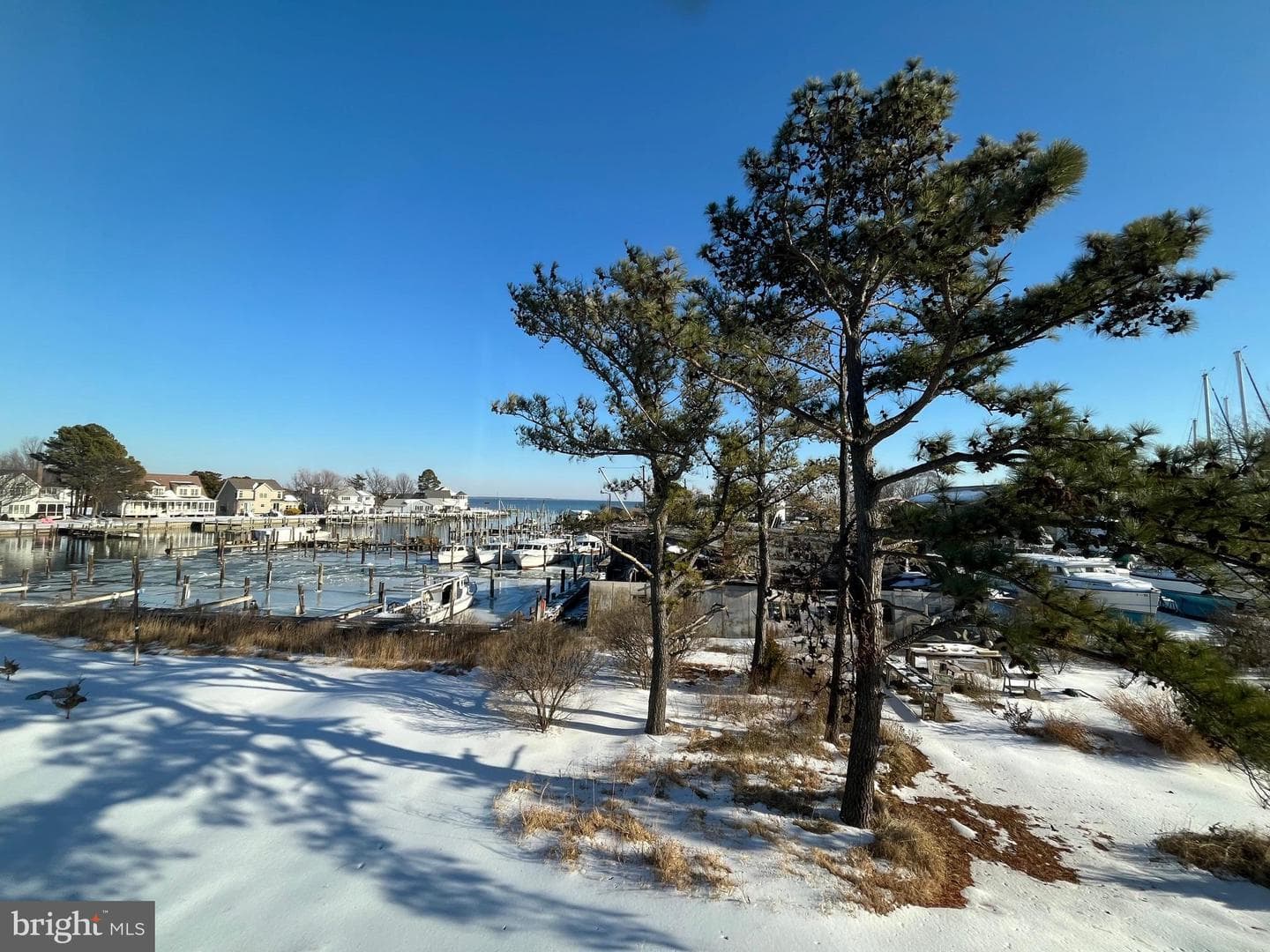 21572 Chicken Point Road photo 10