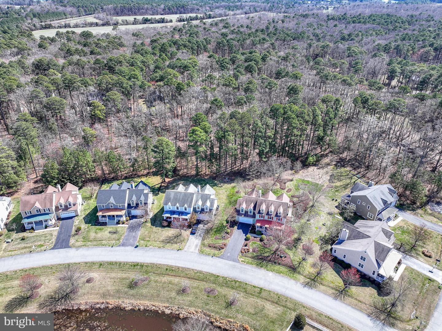 24965 Back Creek Drive photo 52