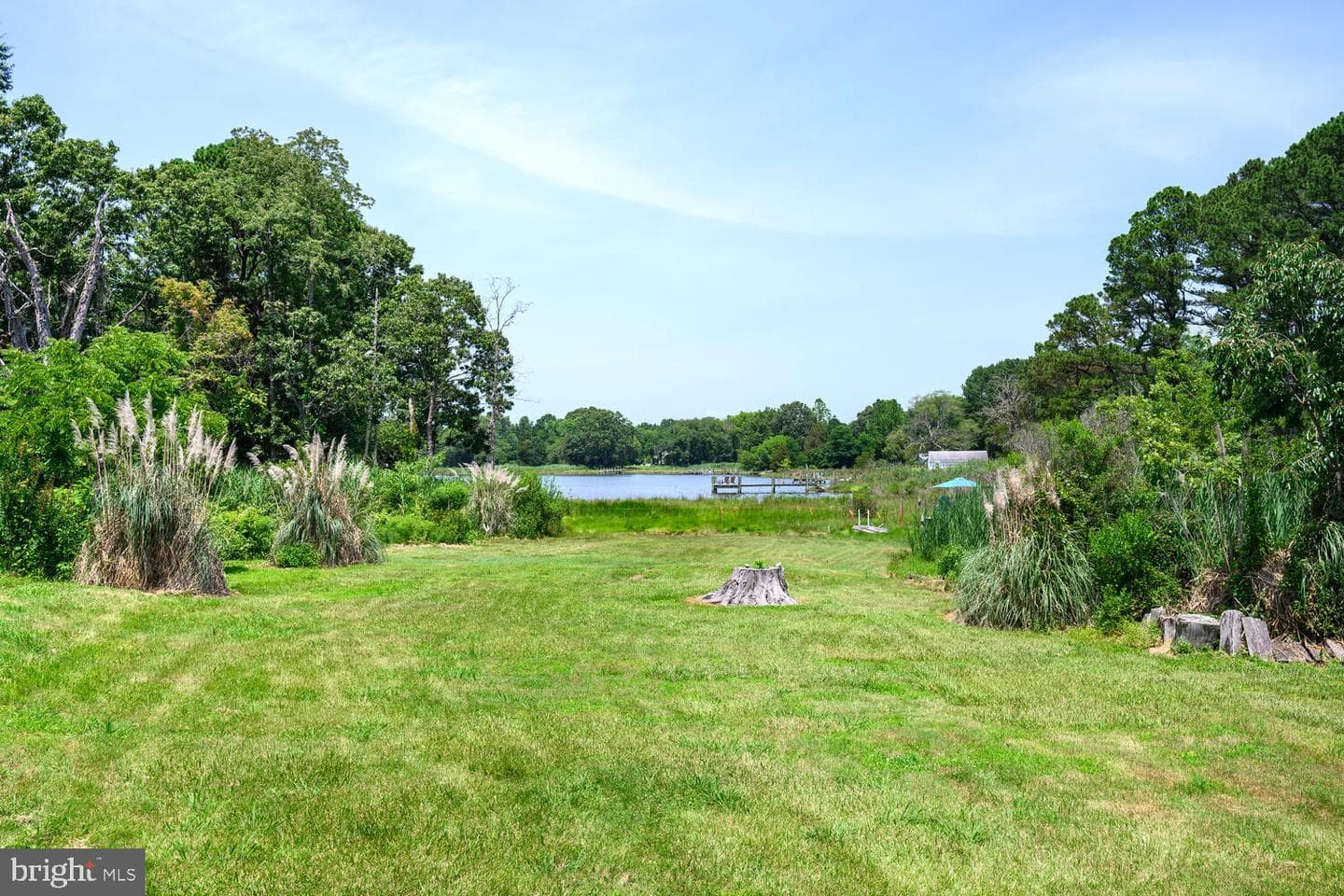 8000 Bozman Neavitt Road photo 13
