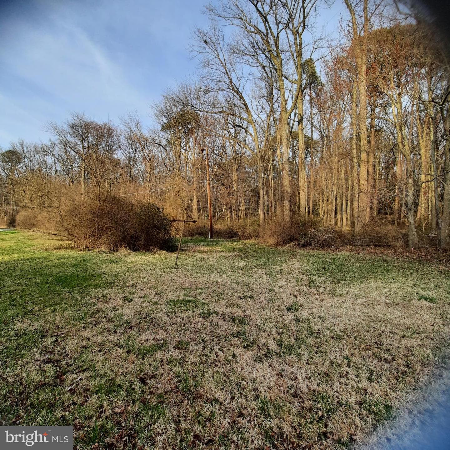 8915 Palmer Lane photo 4