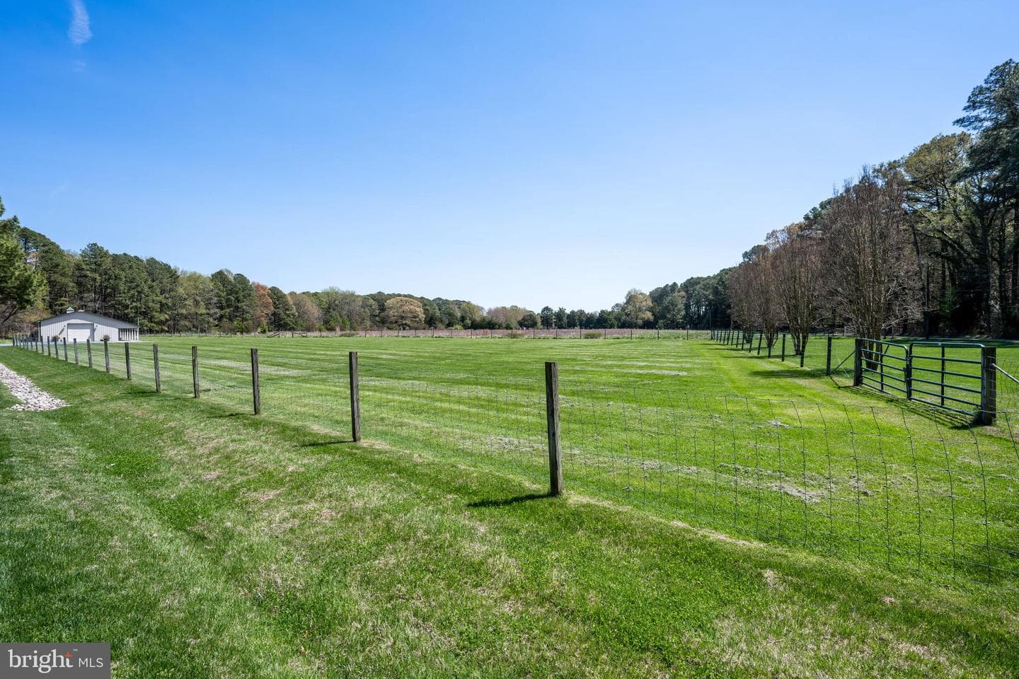 7909 Church Neck photo 11