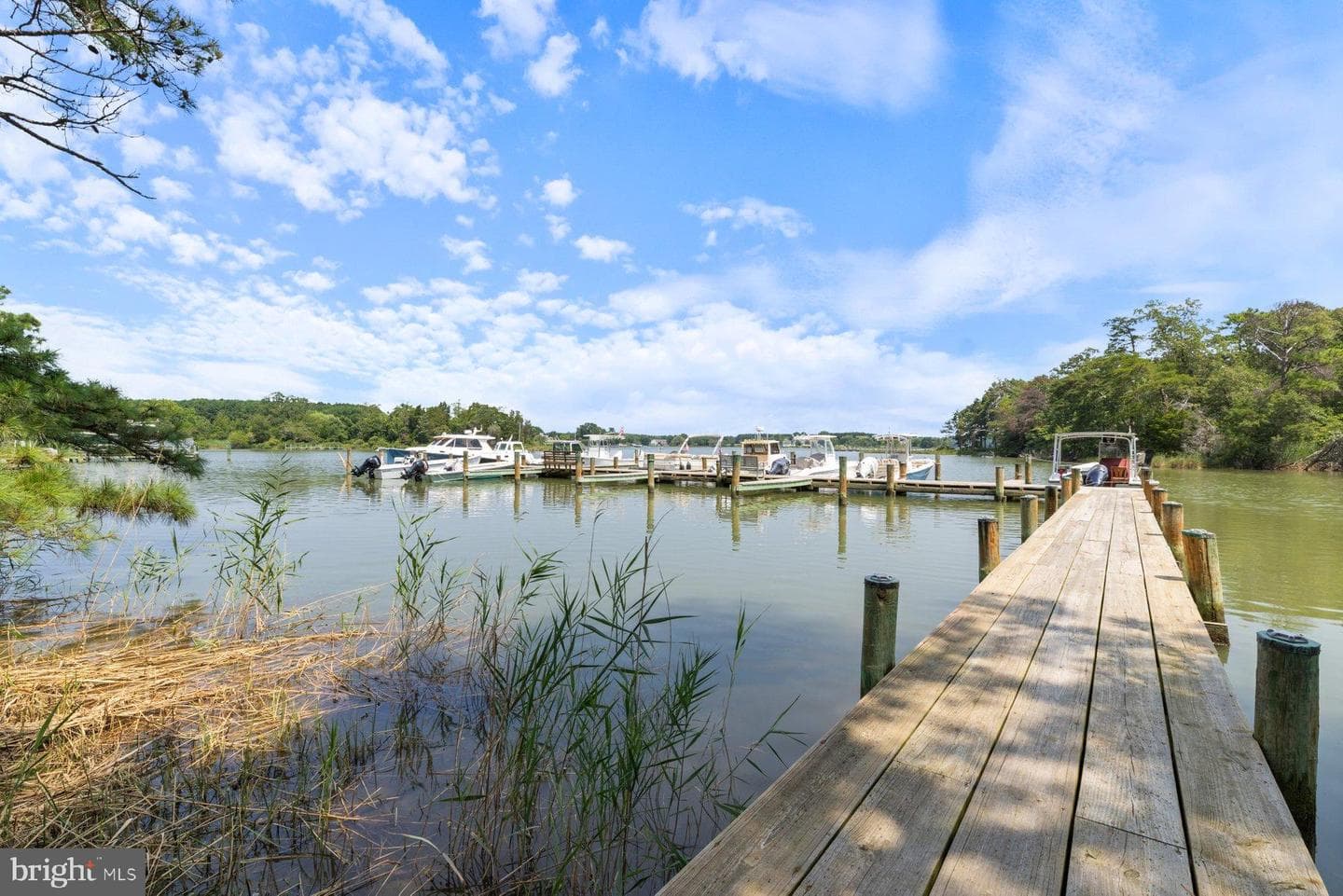 6705 Tilghman Island Road photo 31