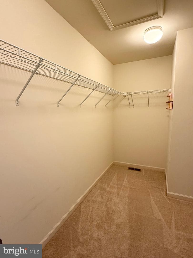 331 Hollis Circle photo 17