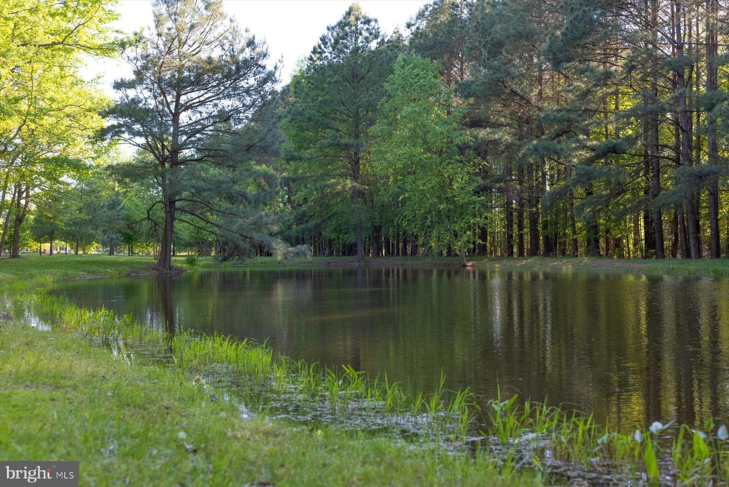 24679 Deep Neck Road photo 69