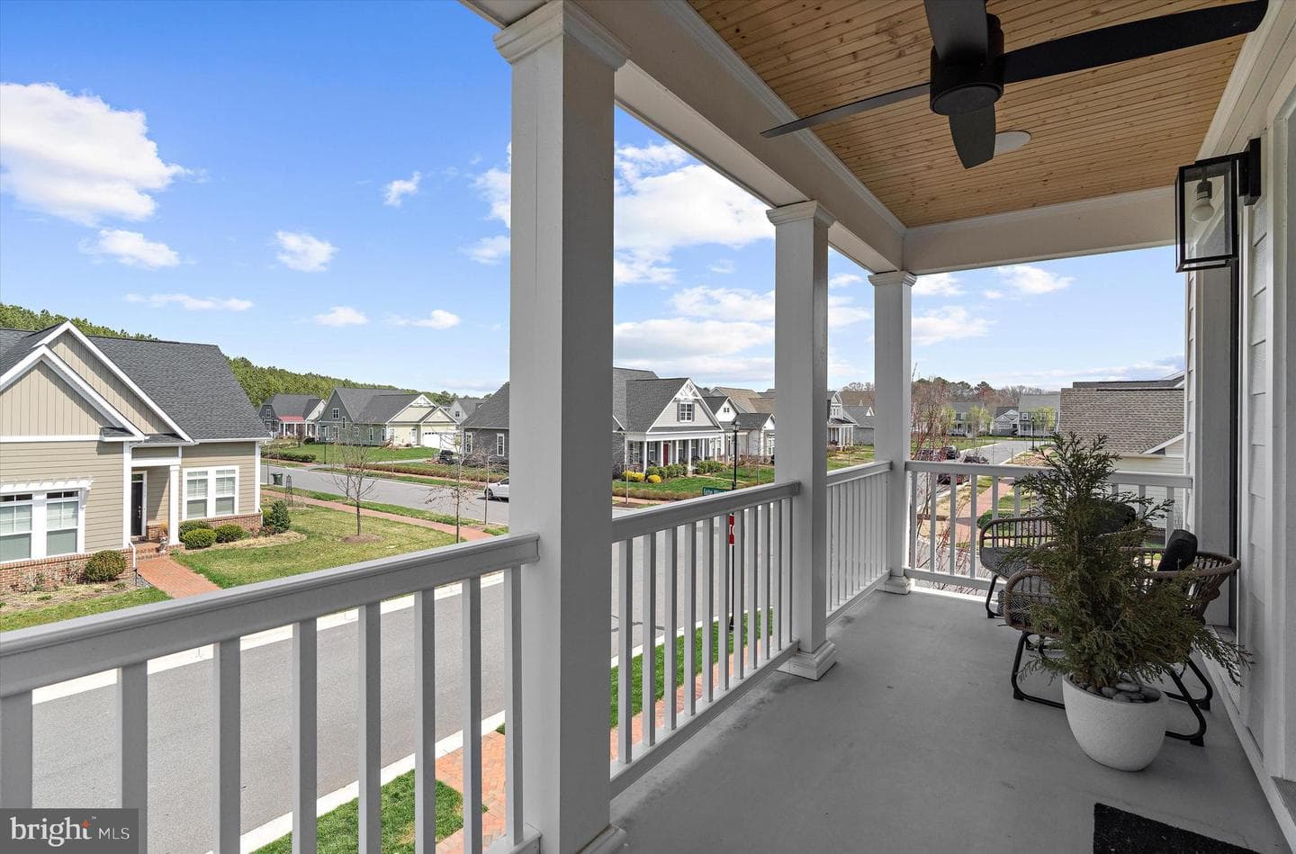8099 Fox Squirrel Way photo 54