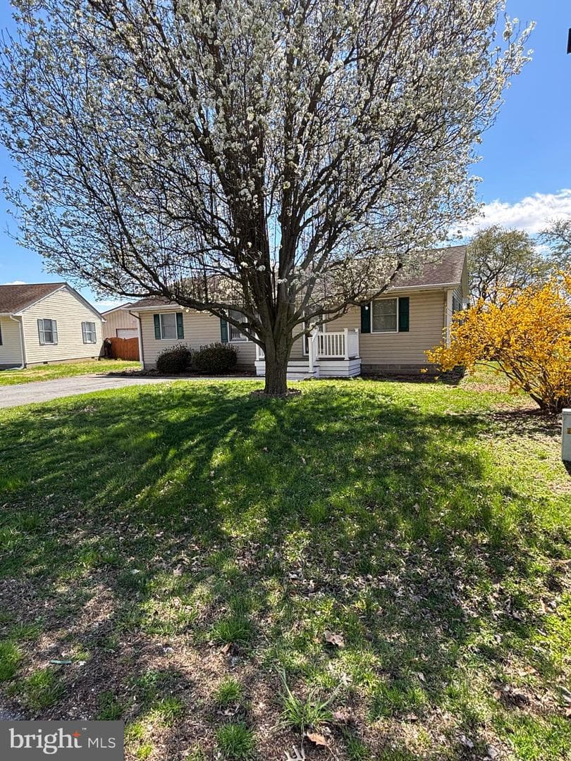 3900 Harrison Circle photo 20