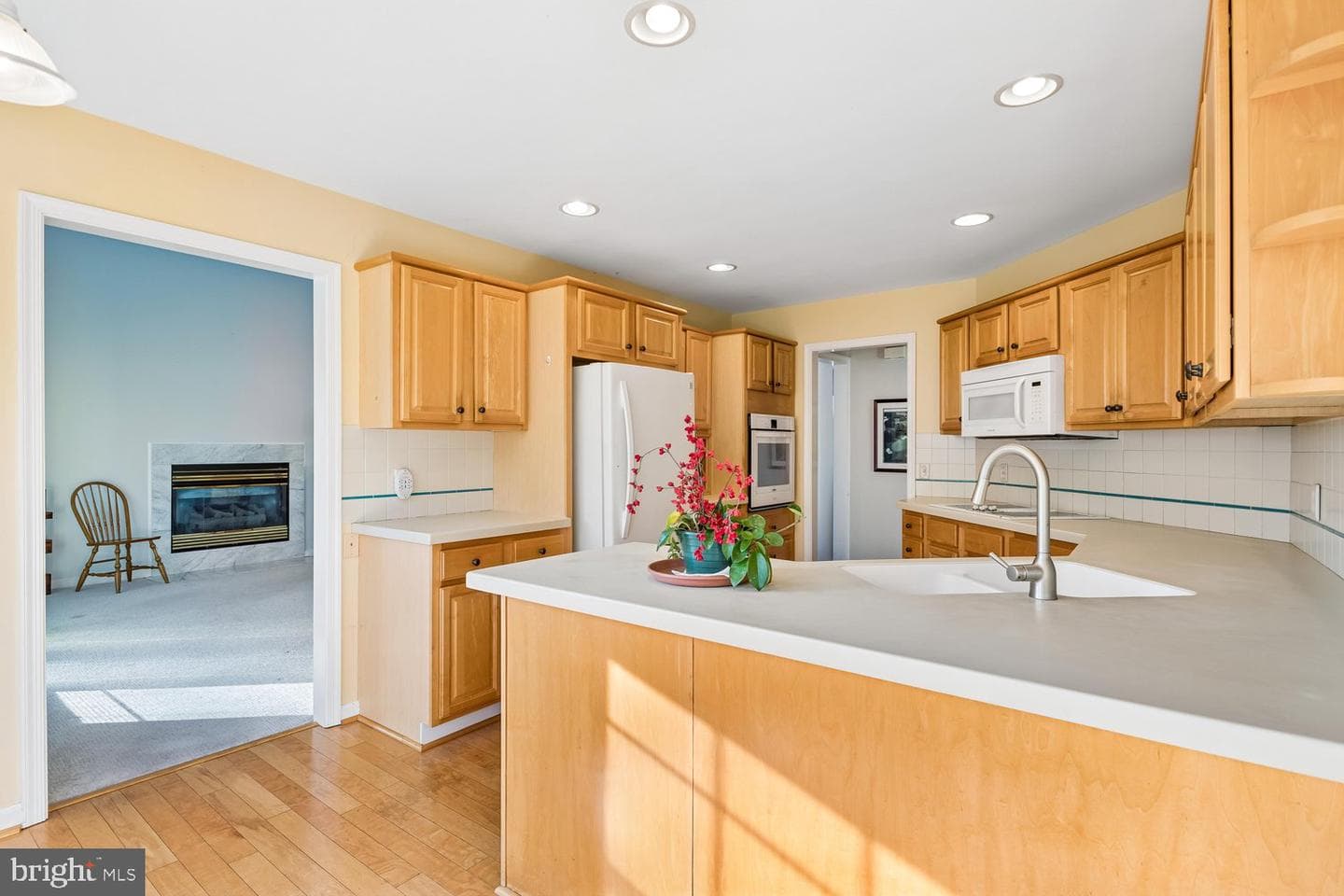 28642 Clubhouse Drive photo 14