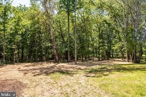 6980 Hopkins Neck Road photo 13