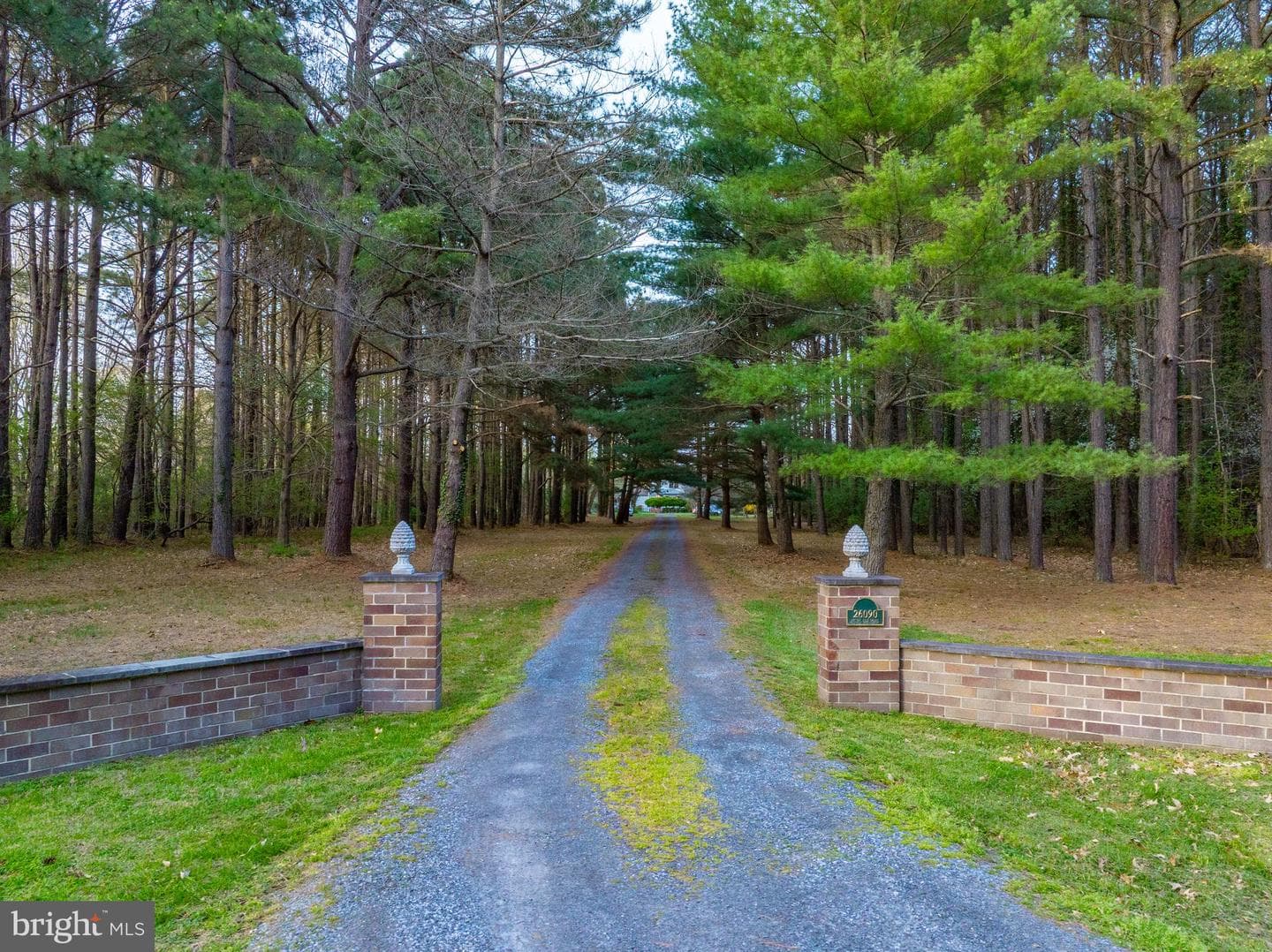 26090 Royal Oak Road photo 67