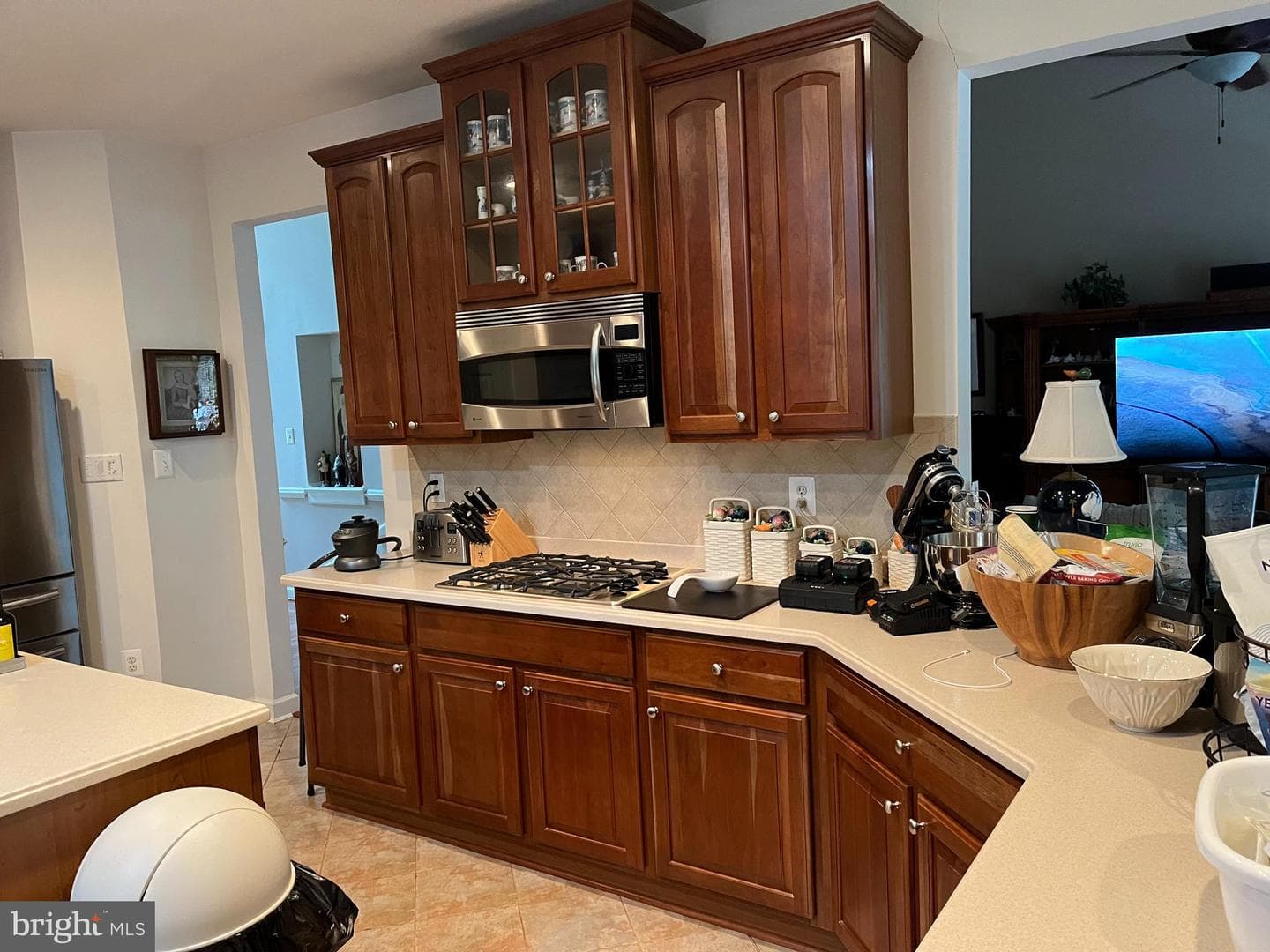 29583 Skipton Estates Drive photo 20