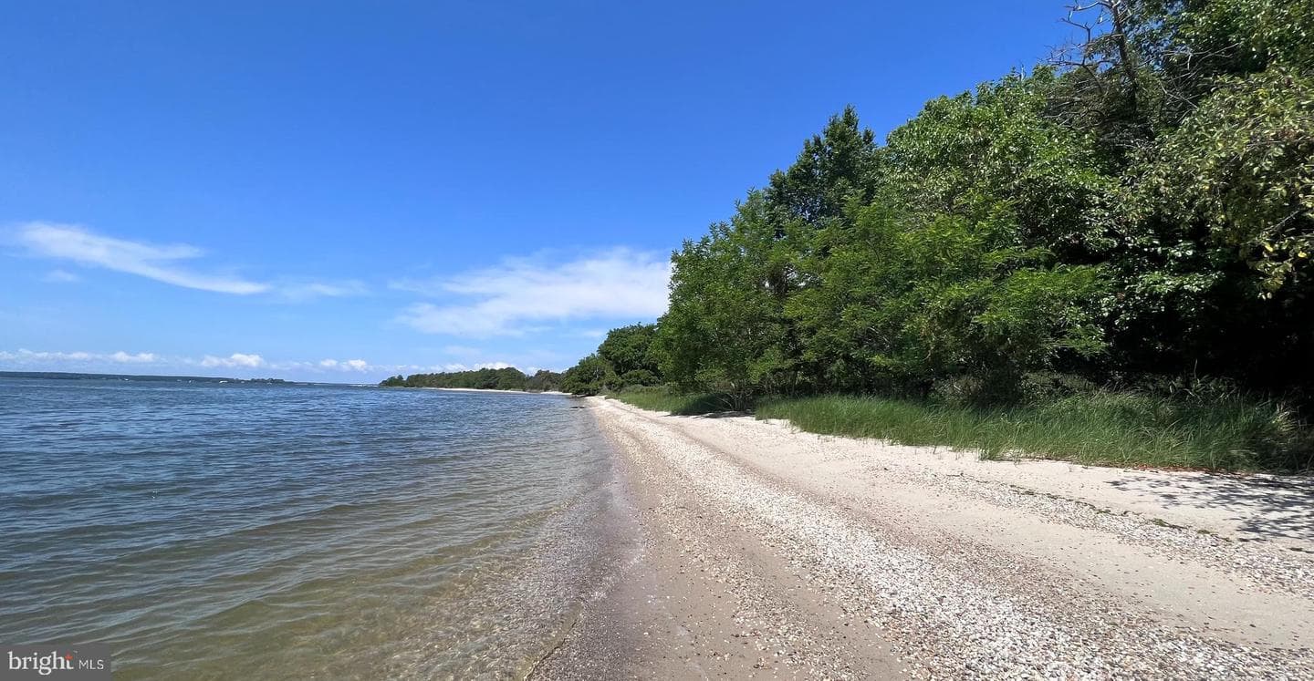 27293 Southside Island Creek Road photo 67