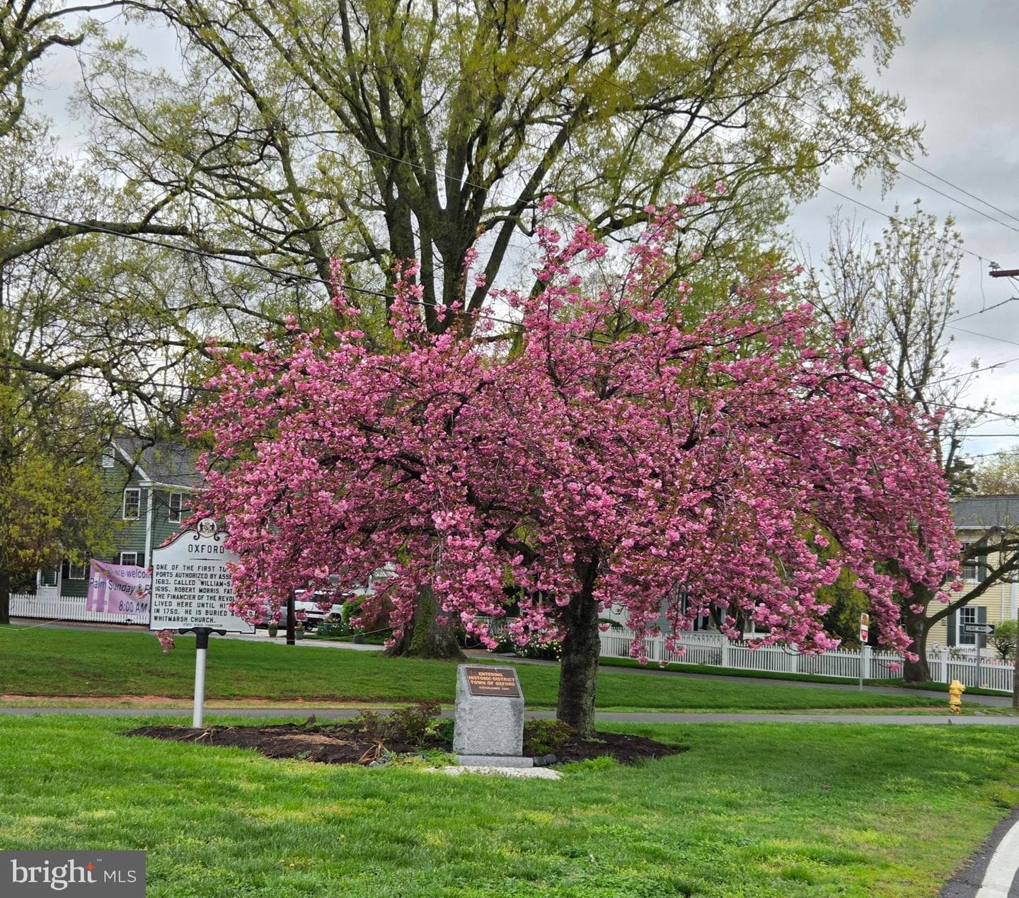 705 S Morris Street photo 26