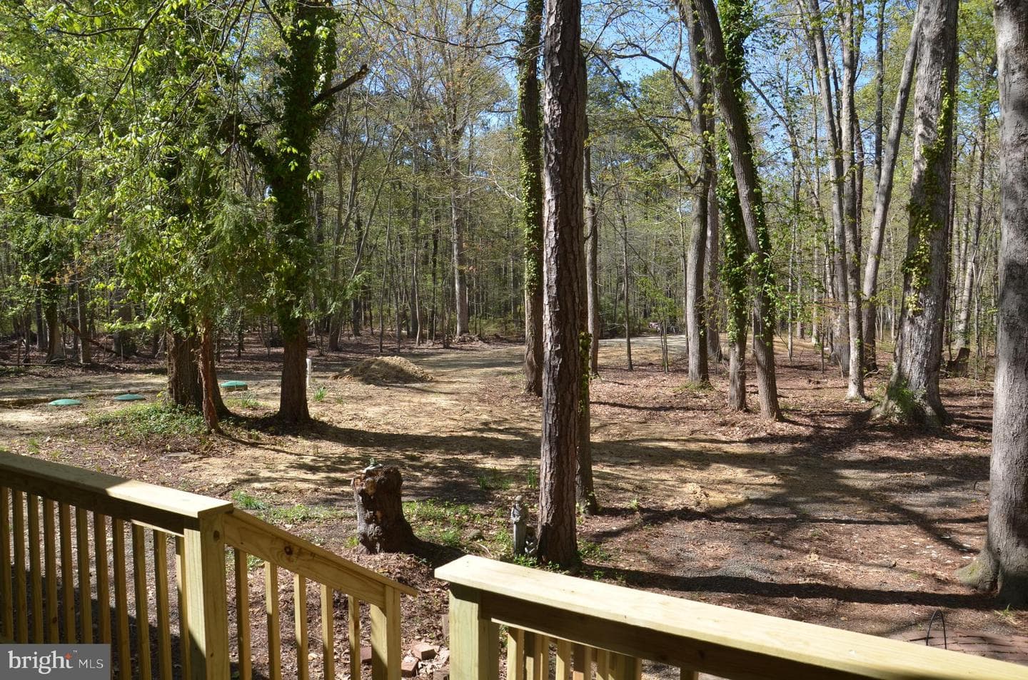 23266 Mallard Point Road photo 17