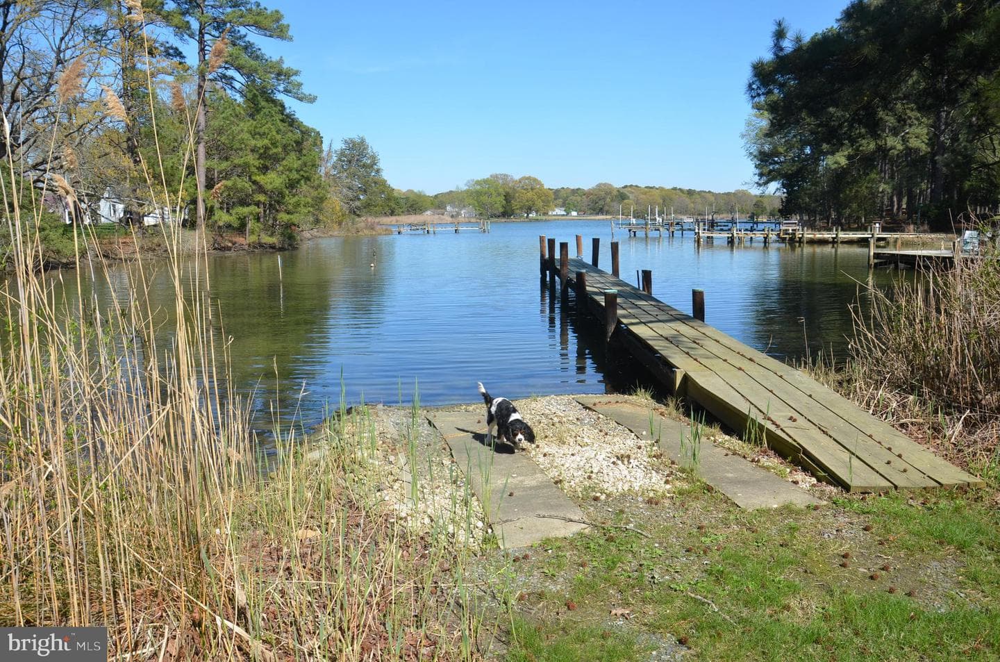 23266 Mallard Point Road photo 21
