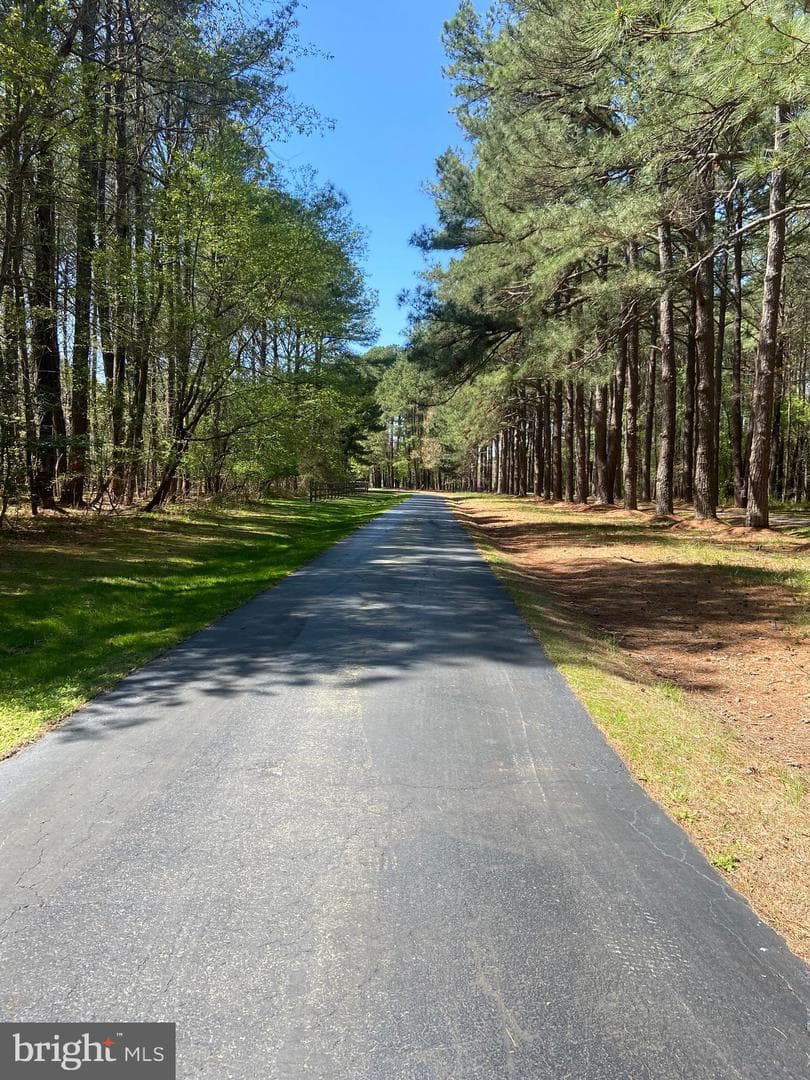 6976 Travelers Rest Circle photo 17