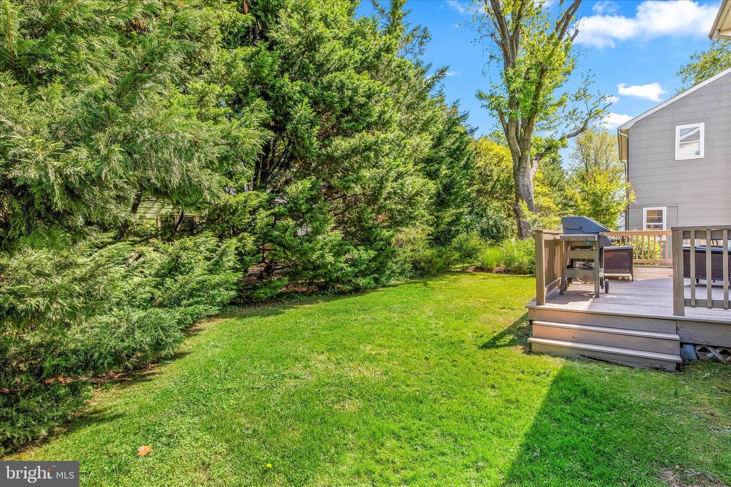 21406 Dogwood Cove Road photo 10