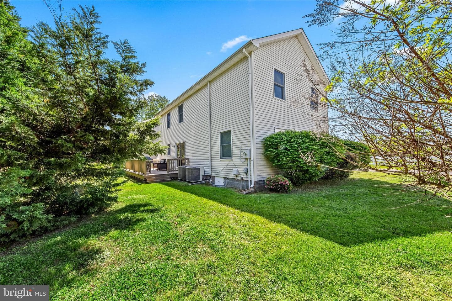 21406 Dogwood Cove Road photo 13
