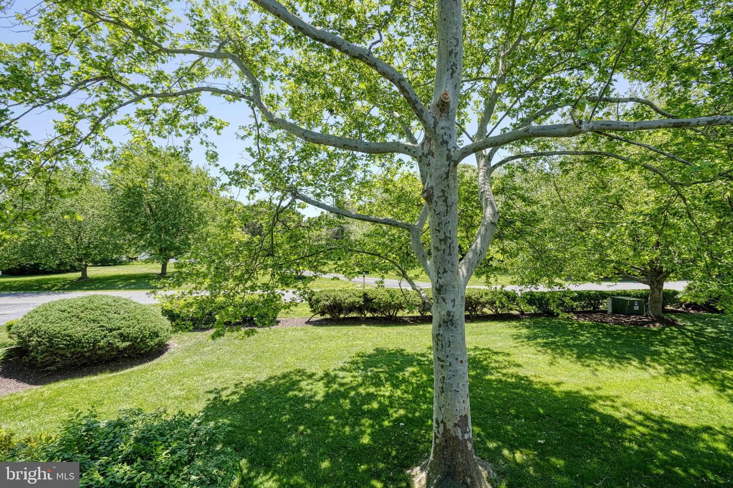 24700 Deepwater Point #20 photo 36